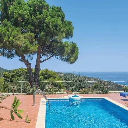 Los Olivos Penthouse * Skopelos